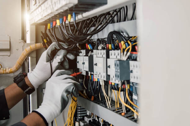 Best Ceiling Fan Installation Electrician  in Citrus Park, FL